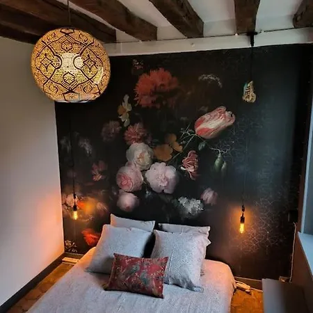 Maison Curieuse - Hammam Et