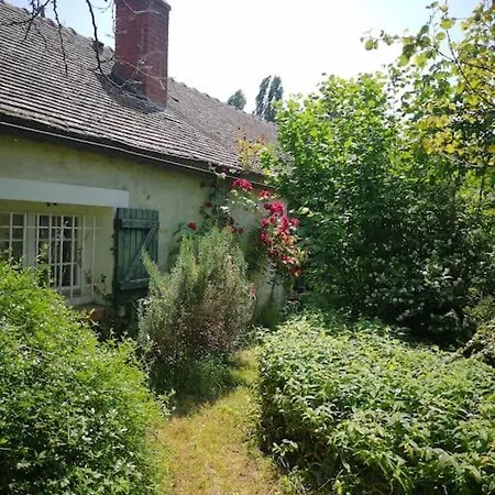 Maison Curieuse - Hammam Et Holiday home *