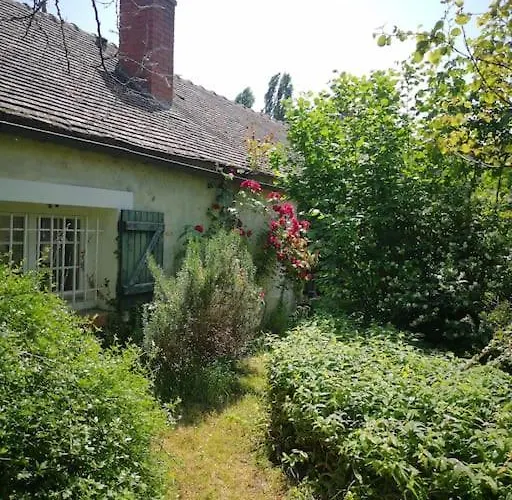 Maison Curieuse - Hammam Et Nyaraló *